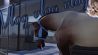 Второй Раз Одна Беда Что Произошло С Лошадью В Леваде? Strideway Roblox Rrp Vlog