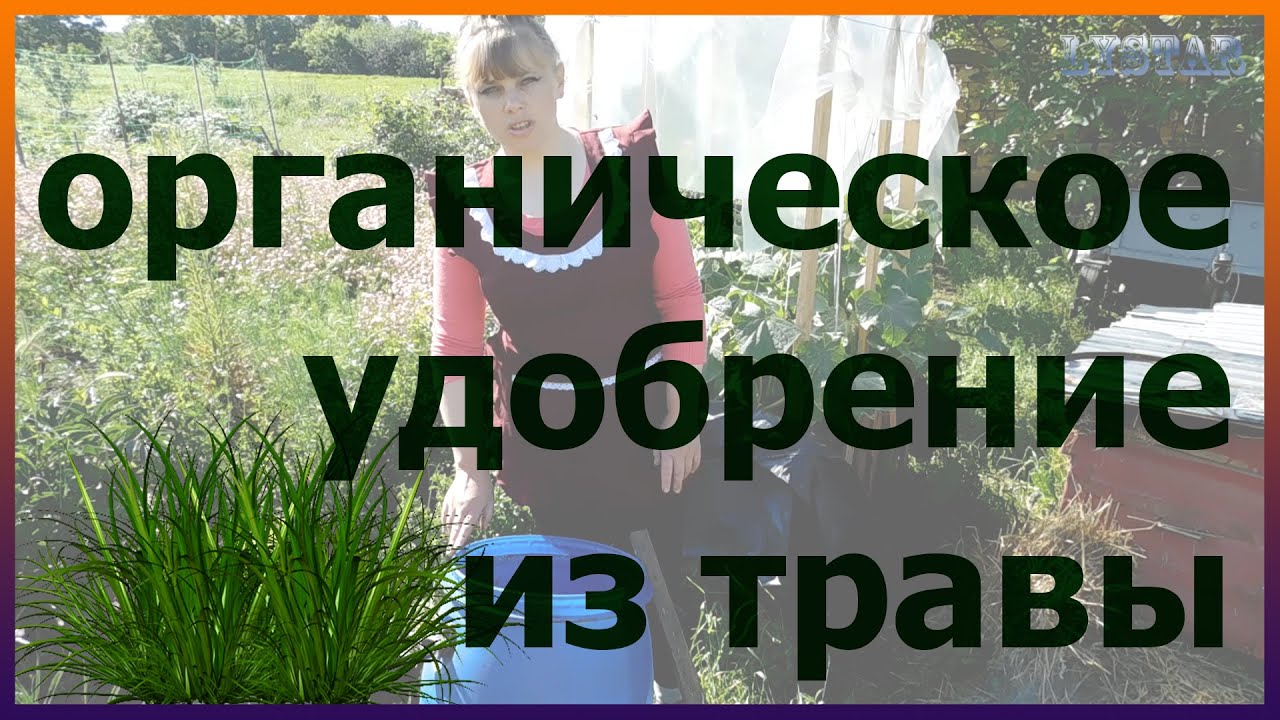 Универсальное органическое удобрение из травы. Травяной чай. Как приготовить травяной настой