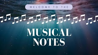 The Musical Notes Introductory Video!