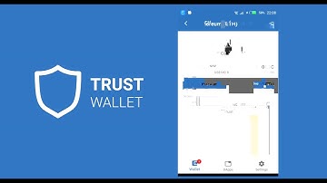 TRUST WALLET   how to send receive and add custom token