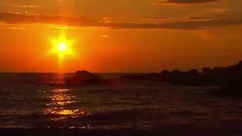 سورة الملك بصوت القارئ صالح الحماد