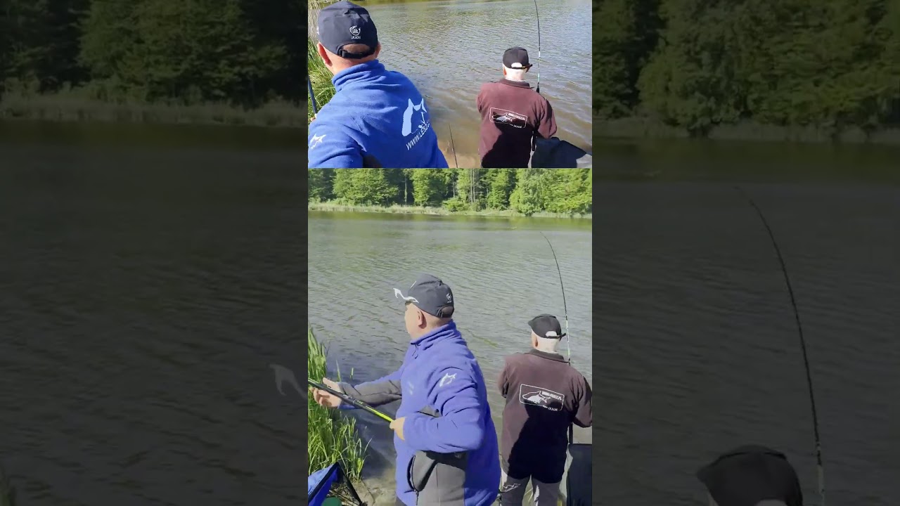 Lin i dwóch na jednego