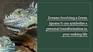 Dream About Iguana Creatures