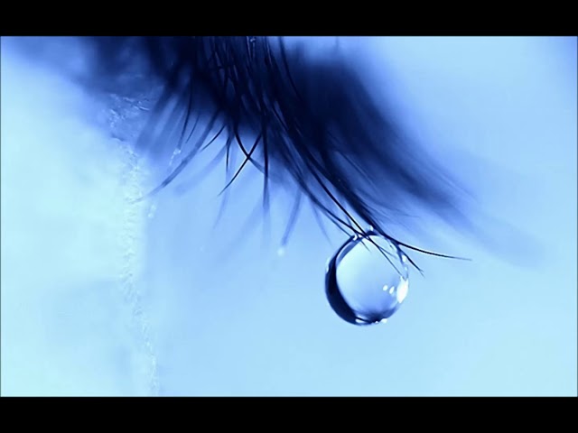 ナイトメア Nightmare - 36.7° (English translation and lyrics
