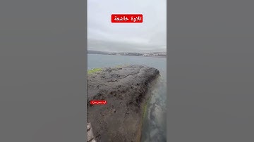 #تلاوة_خاشعة /  ياأيها الناس أنتم الفقراء إلى الله / الشيخ ماهر المعيقلي #القرآن_الكريم