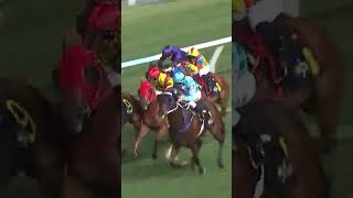 1 | 1 | ELEGANT LIFE | L Ferraris | #Ferraris #Horse #Racing #Sport #Results #賽馬結果 #马會 #油管 #赛马结果