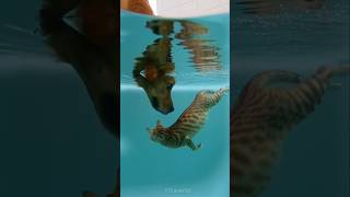 One Small Slip Turned Into A Terrifying Moment