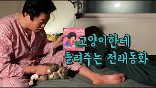 전래동화 들으면서 자는 고양이