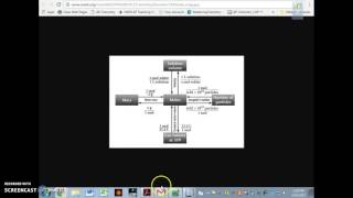 Chapter 10 Study Guide Part 2