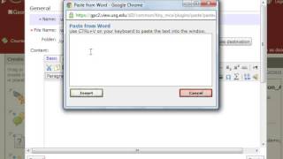Information D2L- Adding webpages Update