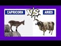 Capricorn vs. Aries: Who Is The Strongest Zodiac Sign?