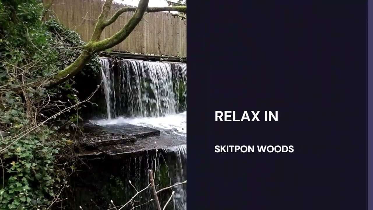 SKIPTON WOODS