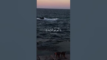 #fypシ゚viral #youtube #قرآن #quran #islam القرآن الكريم