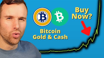 Why Bitcoin Cash & Bitcoin Gold is up 🤩 BCH & BCG Crypto Analysis