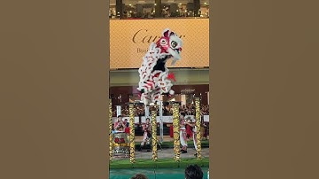 Thumbnail of Yi Wei | Lion Dance | Team A