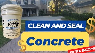 Cleaning and Sealing Concrete Driveway plus more power washing jobs