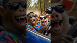 Both monkeys pig and kasongo are walking together against lion. #goviral #funny #fyp #mustwatch #fun