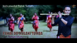 Instrumental Batak Toba | Pahae Do Mulani Tumba | Uning-uningan Batak Paling Keren