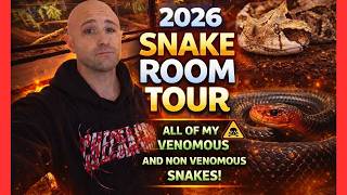 2026 Snake Room tour!! ALL of my VENOMOUS and Non Venomous SNAKES!