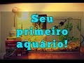 Como montar seu primeiro aquário (água doce)