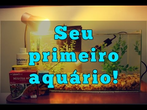 Vídeo: Como Cuidar De Um Aquário