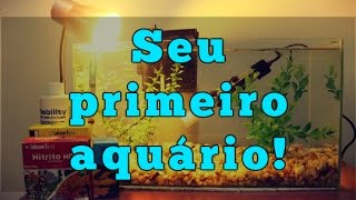 Como montar seu primeiro aquário (água doce)