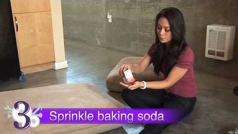 How To Remove Cat Urine From Upholstery