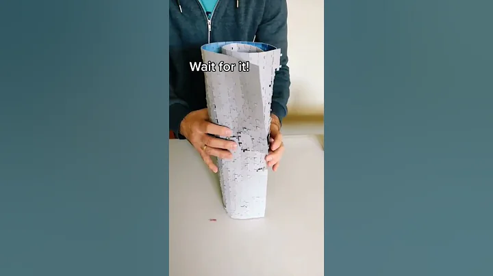 🦉 Please Don't Do This || 1000 Piece Jigsaw Puzzle Smashing