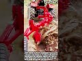 효율적인 토양 관리를 위한 트랙터 쟁기질 작업 프로세스 #worker #process #soil #farm #equipment