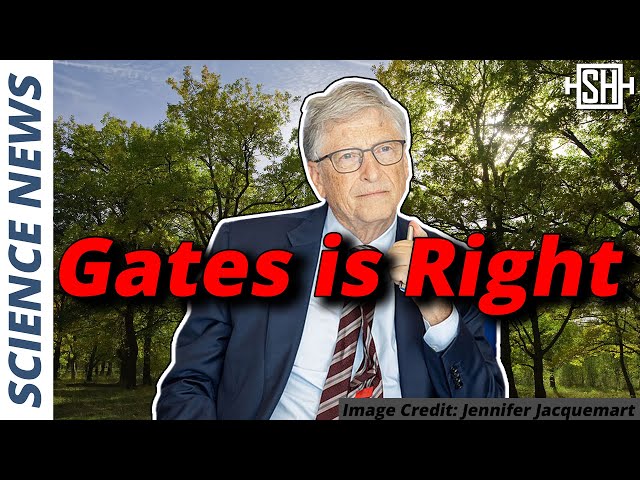 “Are we the idiots?” – Bill Gates on Planting Trees class=