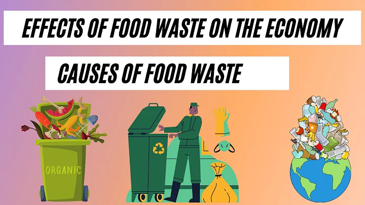 What are the Effects of Food Waste on the Economy of a Country | Causes of Food Waste