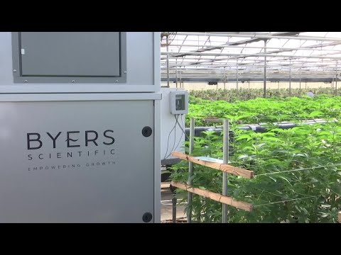 New technology could help Carpinteria cannabis growers clear the air