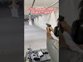 #asmr  #targetshooting #glock17gen5