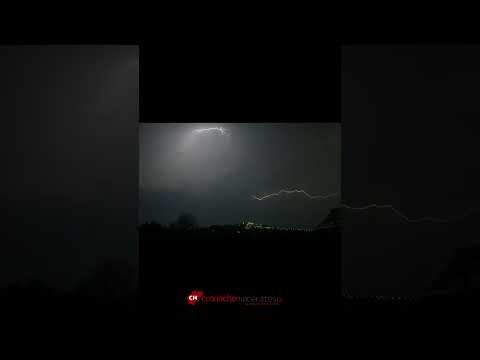 Video Forte grandinata e vento: alberi e rami caduti sulle strade, decine di chiamate di soccorso