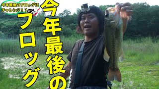 バス釣り　今年最後のフロッグだ！！