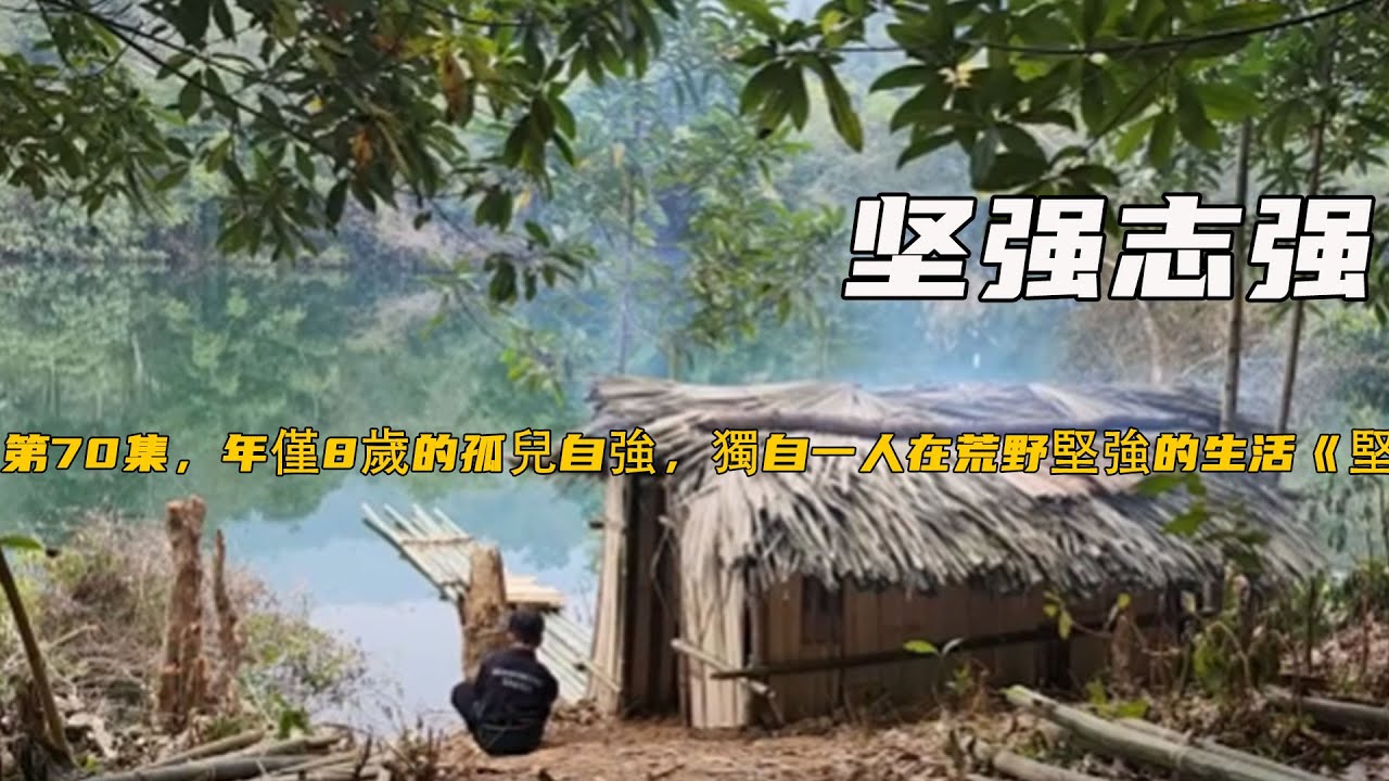 第70集，年僅8歲的孤兒自強，獨自一人在荒野堅強的生活《堅強志強》