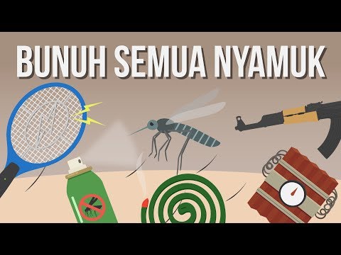 Video: Haruskah nyamuk dimusnahkan?