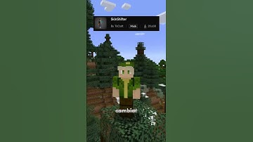 Mini Mod Reviews - SkinShifter #SkinShifter #minecraft #mod #java