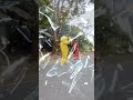 teddy with prank in road 😁🤣#trending#funny#YouTube#shorts#reels#video#@Cute_Teddy351