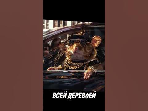 хамстер хамстер хамстер криминал! хамстер бизнес братья в деле тапаем ...