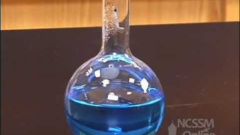 Blue Bottle Equilibrium