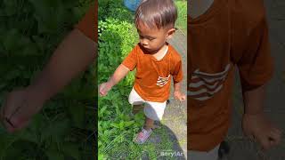 beryl mau berhitung dulu #shorts #shortvideo #trending #dramashorts #cutebaby #balita