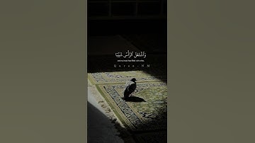 شريف مصطفى | قال رب إني وهن العظم مني واشتعل الرأس شيبا #سورة_مريم #قرآن #تلاوات_قصيرة #تلاوة_هادئة