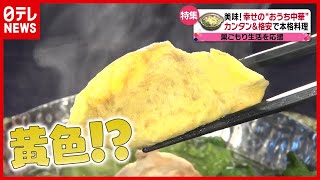 お玉で作れる簡単“黄色い“ギョーザ！？ 食卓が楽しいおもしろ中華【幸せの中華レシピ】（2021年3月5日放送「news every.」より）