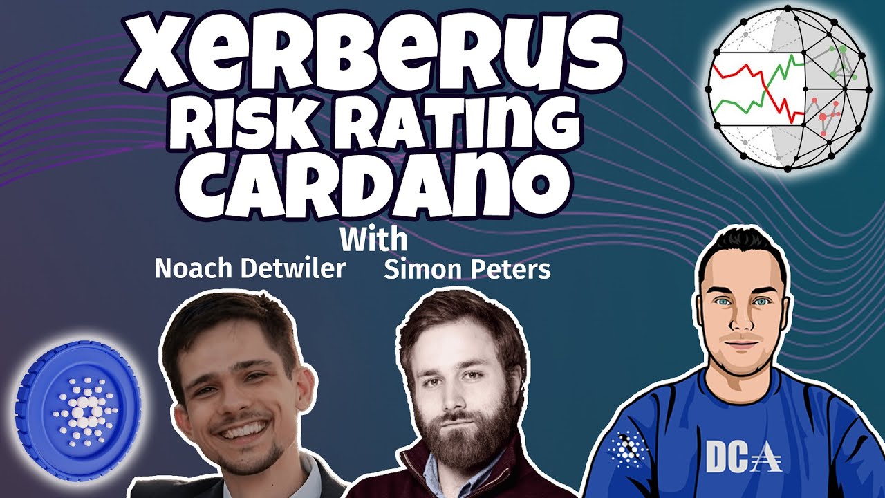 Xerberus Providing Risk Ratings on Cardano Projects