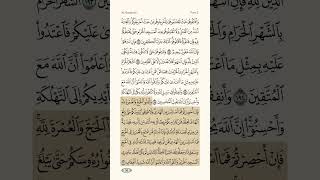 Quran Page 30 | Al‑Baqarah 191–196 | Abdullah Matroud