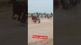 khachchar race mod Ashok khajur/Qatar race/Bajaj Auto