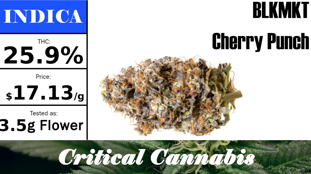 BLKMKT - Cherry Punch | OCS Strain Review