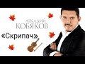 «Скрипач» 🎻 Аркадий Кобяков