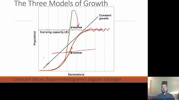 Environmental Sustainability - Population Dynamics